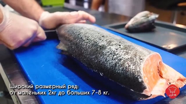 Семга и форель «Русская Аквакультура» смотреть онлайн