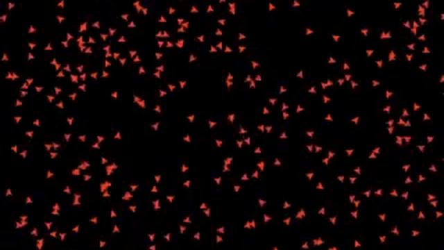 Decentralizované systémy: hlenka, mraveniště, hejno смотреть онлайн