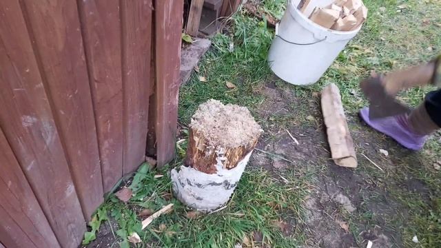 Дачный влог/ Нашла гнездо ?/про учёбу в универе смотреть онлайн