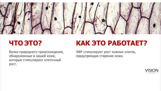 Запись семинара по косметике Vision смотреть онлайн