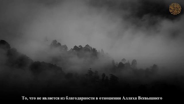 Благодарность человека | Абу АбдуЛлах ад-Дагистани смотреть онлайн