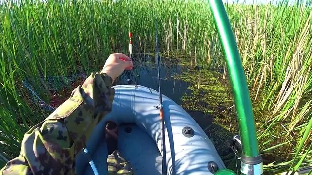 КАРАСЬ НА АНАНАС! ВОТ ЭТО ЛАПТИ! РЫБАЛКА В КАМЫШАХ на крупного карася ! Ловля на поплавок с лодки смотреть онлайн