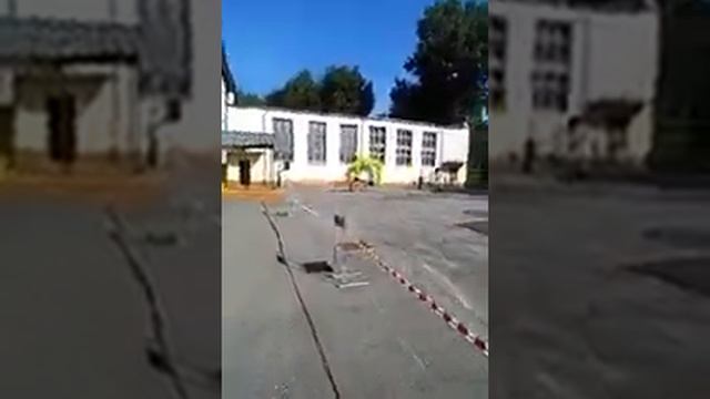 1 сентября в школе Арка из воздушных шаров в Липецке | Волшебный мир оформление праздников смотреть онлайн