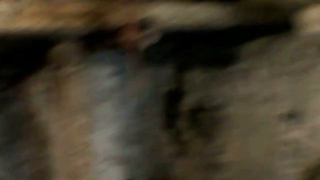 Выращивание Вешенки "часть 9" смотреть онлайн