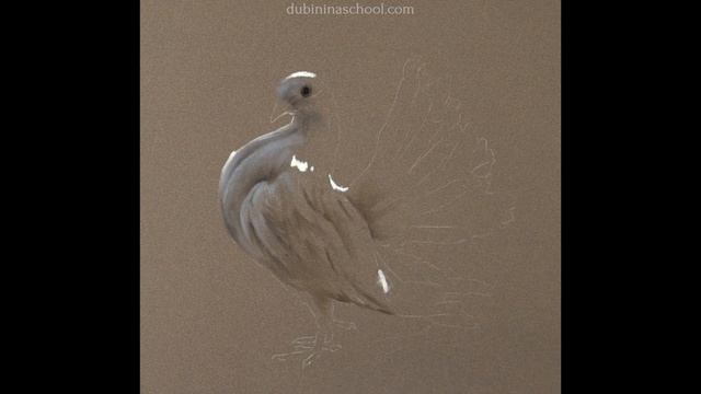 Голубь мира часть 2