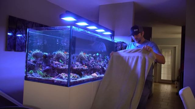 The Ultimate Aquarium Water Change System - Python + Sicce Ultra Zero review смотреть онлайн
