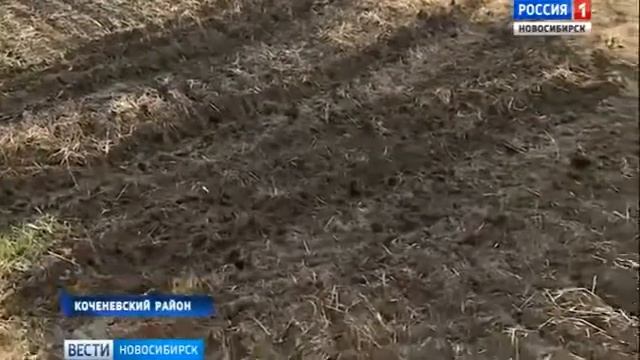 Посевная в новосибирской область 2018 смотреть онлайн