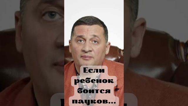 Как помочь ребенку избавиться от страха пауков . @Андрей Дуйко