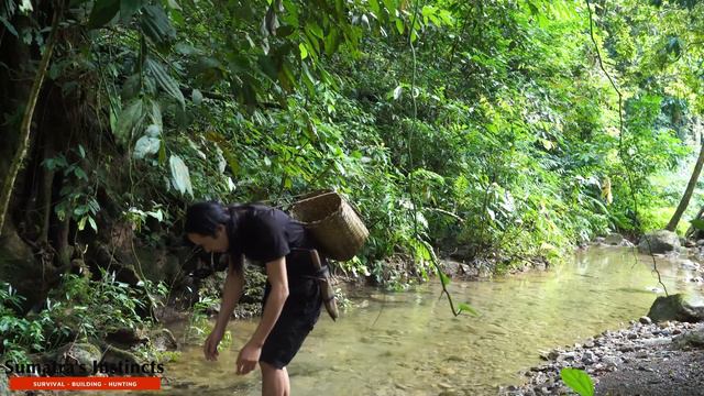 #12 ❌❌❌ Climb. Found a Amazing fruit on a 15m High Tree, Delicious Crab Soup | Sumatra's Instincts смотреть онлайн