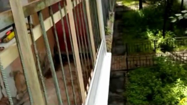 Отлив нижней плиты смотреть онлайн