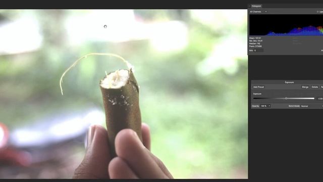 Brightness Vs. Exposure in EDITING | Snippet #7 смотреть онлайн