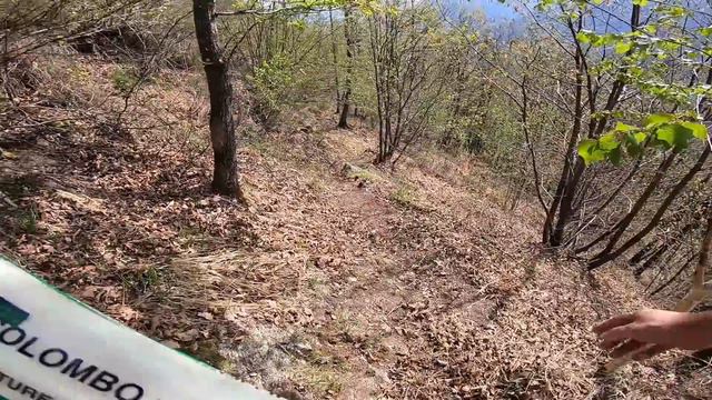 Piccola apicoltura in baita: riflessioni sulla quarantena, trasporto nuclei, ho paura delle api!EP. смотреть онлайн