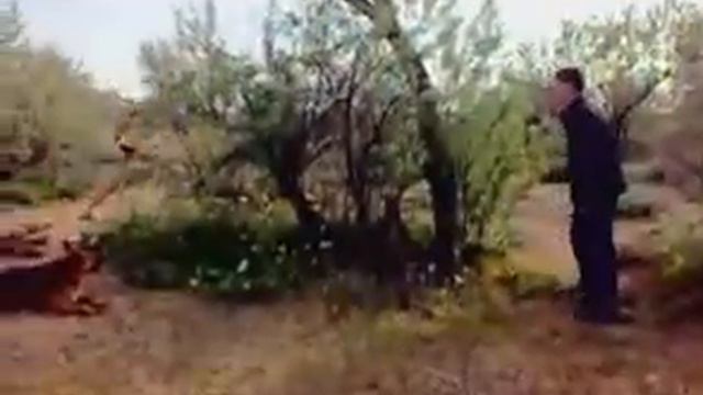 10052010007-001.mp4 смотреть онлайн