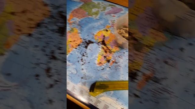 Пересадка и размножение анубиаса Всё легко и просто смотреть онлайн