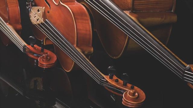 Make You Feel My Love (String Trio) - Electria