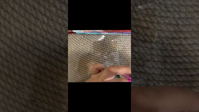 Раскрашиваем гипсовые фигуры, зоопарк смотреть онлайн