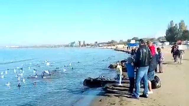 9 ноября 2019, погода Анапа. Климат у моря. Переезд к морю. смотреть онлайн