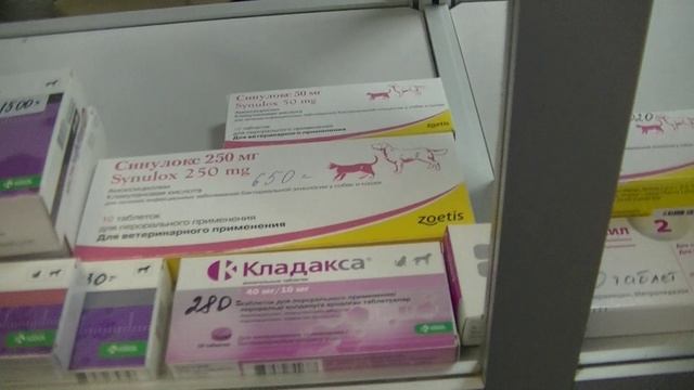 Антибиотики и пробиотики. Наличие в апреле 2023 года. Ветаптека Бемби. смотреть онлайн