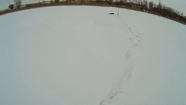 Омск. Чередовое озеро. Продолжаем искать рыбу в глухозимье. смотреть онлайн