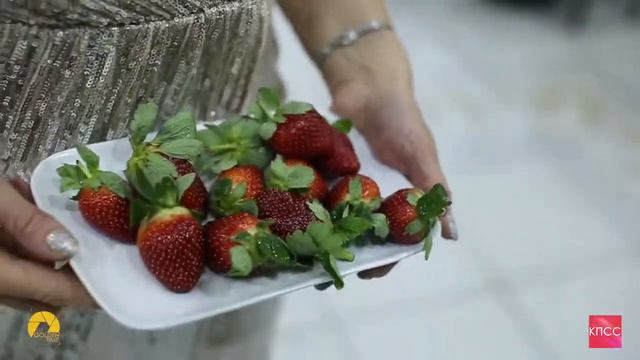 Новая эра 2020 смотреть онлайн