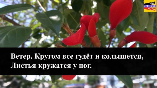 А.А. Фет "Ель рукавом мне тропинку завесила" | Учи стихи легко | Караоке| Аудио Стихи Слушать Онлай смотреть онлайн