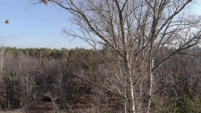 ВКС-кантри - 8 марта смотреть онлайн