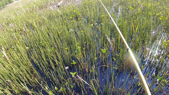 Макалки смотреть онлайн