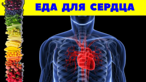 САМЫЕ ПОЛЕЗНЫЕ ПРОДУКТЫ ДЛЯ СЕРДЦА И СОСУДОВ / СОВЕТЫ КАРДИОЛОГОВ