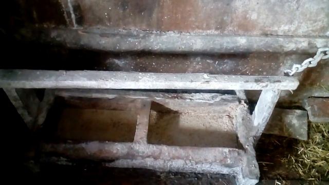 Зима вернулась.Пост у свиней.Почему не едят свиньи. смотреть онлайн