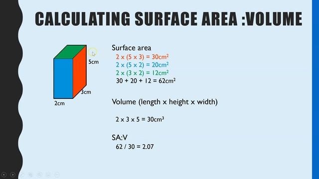 Surface area:Volume ratio calculation & the relevance in Biology.The importance in exchange surface смотреть онлайн