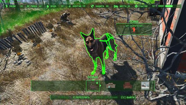 Fallout 4 пёс мух ловит смотреть онлайн