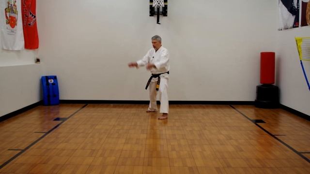 Shorin Ryu Karate Stances смотреть онлайн
