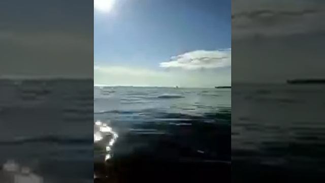 Рыбалка лето 2016 года смотреть онлайн