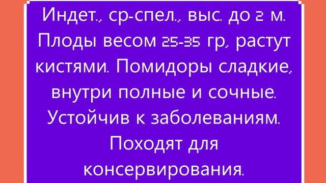 Каталог новых сортов томатов 2023 г. Часть 1. г. Киров. смотреть онлайн