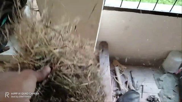 বক্সের মধ্যে পাখির বাসা ইন্টারনেট কানেকশন, #fiber #internet смотреть онлайн