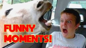 Лучшее смешные видео Volume#3