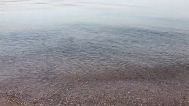 Риф дельфинов в Эйлате красное море 2019 смотреть онлайн