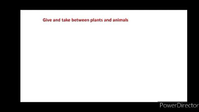 Grade 4:Science-Plants the producers Part-4 смотреть онлайн