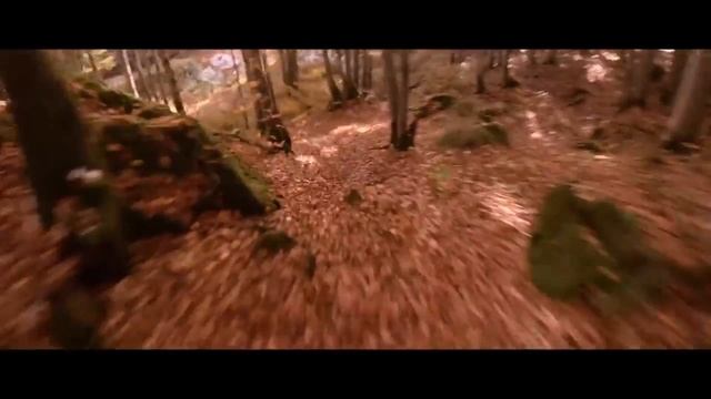 На лыжах по траве, камням, песку, китайской стене, воде и лесу. Лучшая реклама Audi смотреть онлайн