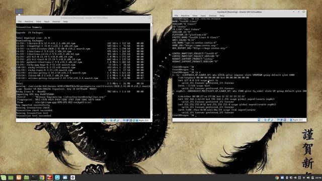Rocky Linux Installation & Comparison with Centos смотреть онлайн