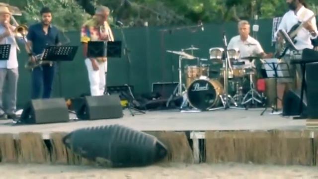 PaoloMariniLatinjazzCombo (A Night in Tunisia ( Dizzy Gillespie ) смотреть онлайн