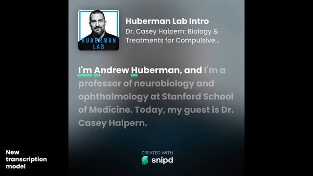 Amazing podcast transcripts with OpenAI's Whisper in Snipd смотреть онлайн