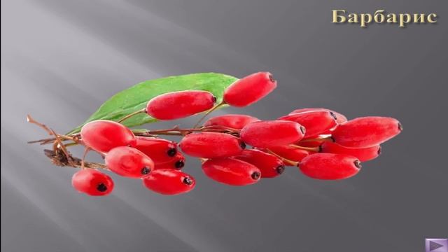 Презентация 