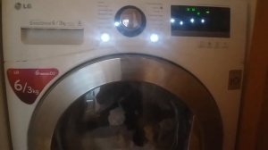 Режим включение стиральной машины LG F12A8CDP