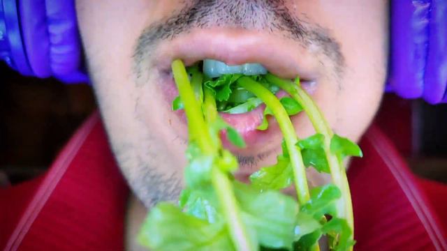 MUKBANG ASMR CRUNCHY VEGAN 🌶🥦-FUNNY FOOD😋-SATISFYING FOR VEGANUARY-Asmr Eating-Eat With Peji-мукбан смотреть онлайн
