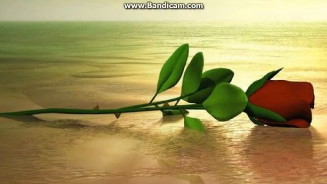 Информация о канале смотреть онлайн