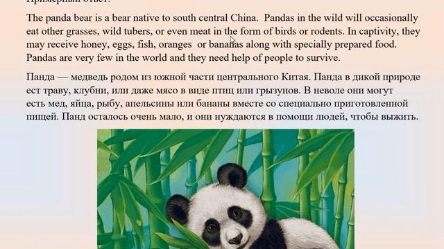 4 класс Английский язык Англ в фокусе Животным требуется наша помощь! Страница 145, 146 смотреть онлайн