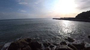 Ловля кефали на бомбарду. морская рыбалка