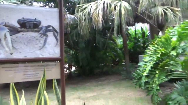 Vlog Отель Hotel Estelar Playa Manzanillo - All Inclusive Cartagena Картахена 2022