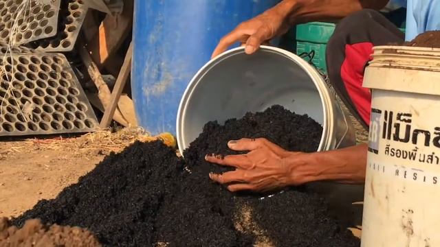 HUSK, Organic Biochar Production In Cambodia